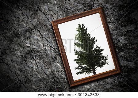 Ecology Concept, Global Warming, Trees Extinction Concept