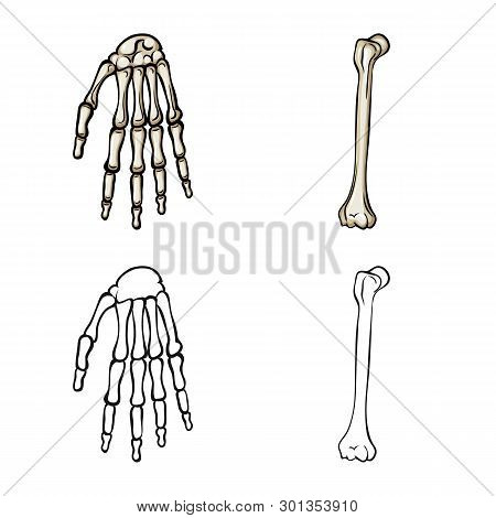 Vector Design Of Medicine And Clinic Icon. Set Of Medicine And Medical Vector Icon For Stock.