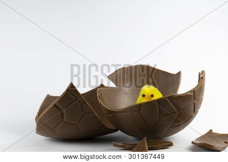 Easter Chick