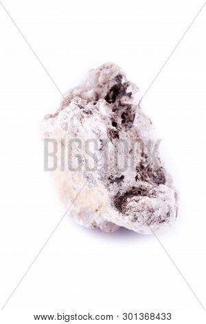 Macro Mineral Phlogopite Stone On A White Background