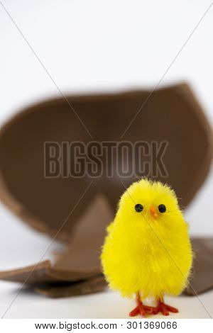 Easter Chick