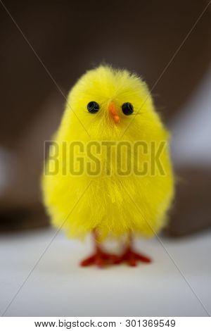 Easter Chick