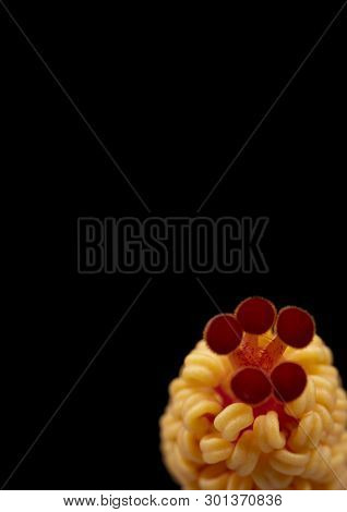 Hibiscus Stamen
