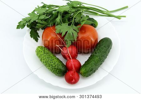 In A White Plate: A Bunch Of Young Fresh Parsley, Two Tomatoes, Two Cucumbers And Three Radishes. Li
