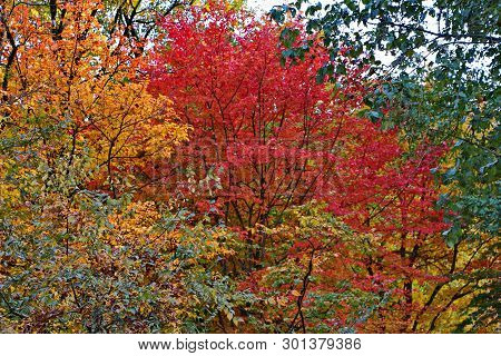 Autumn Landscape From Talysh Mountains In October