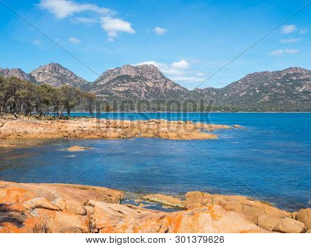 Orange Lichen On Rocks At Coles Bay, Adjacent To Freycinet National Park In Tasmania, Australia.