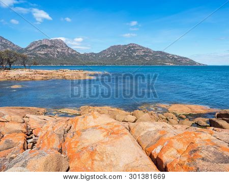Orange Lichen On Rocks At Coles Bay, Adjacent To Freycinet National Park In Tasmania, Australia.