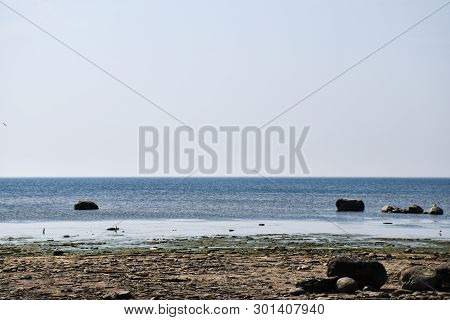 Dyllic Coastline With Calm Water By The Baltic Sea At The Swedish Island Oland