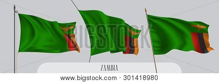 Set Of Zambia Waving Flag On Isolated Background Vector Illustration. 3 Green With Bird Zambian Wavy