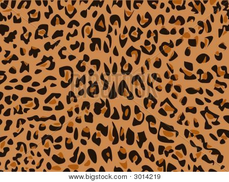 Leopar deri illüstrasyon