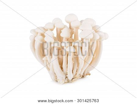 Bunashimeji Mushroom, White Beech Mushrooms On White Background