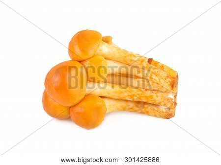 Edible Mushrooms Called Golden Needle Mushroom, Futu Mushroom Or Lily Mushroom On White Background