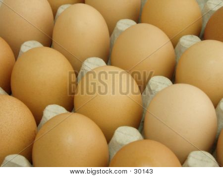 Eggs