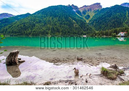 The Antholzer See (italian: Lago Di Anterselva) A Little Lake In South Tyrol, Italy