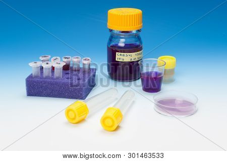 Tools For Histochemical Analysis Of Patient Biopsy Samples