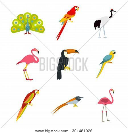 Exotic Birds Icon Set. Flat Set Of Exotic Birds Icons For Web Design Isolated On White Background