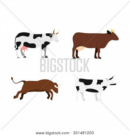Cow Icon Set. Flat Set Of Cow Icons For Web Design Isolated On White Background