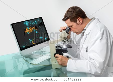 Senior Male Scientist Or Tech Observes Sample Under The Microscope