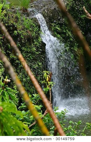 Bambus Falls