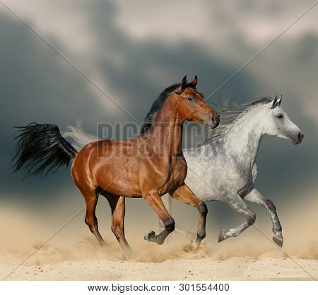 Beautiful Horses In Desert Running Wild Under Stormy Skies