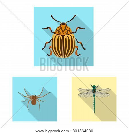 Vector Illustration Of Insect And Fly Icon. Collection Of Insect And Element Vector Icon For Stock.