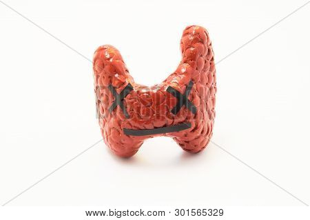 Concept Photo Of Death As Organ, Deadly Incurable Disease Or Thyroid Failure Function. Anatomical Fi