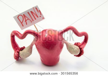 Illustration Concept Of Pain Symptom Or Syndrome In Pathologies And Diseases Of Female Genitals As P