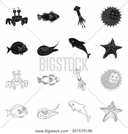 Vector Design Of Sea And Animal Symbol. Collection Of Sea And Marine Stock Symbol For Web.