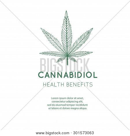 Vector Hand Drawn Symbol Of Cannabis, Marijuana. Medicinal Cannabidiol