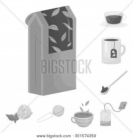 Vector Design Of Green And Black  Icon. Collection Of Green And Organic Stock Vector Illustration.