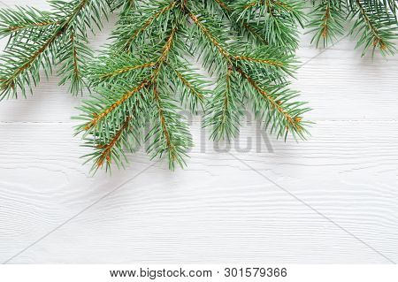 X-mas Fir Tree Branch Isolated On White Wooden Background. Pine Branch. Christmas Background