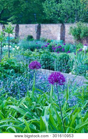 English Country Walled Garden With Beautiful Selection Of Plants - Portrait Image