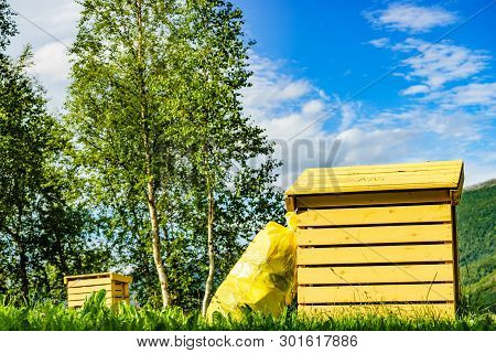 Picnic Site Rest Stop Area With Garbage Bin In Norwegian Nature. Scandinavia Europe.