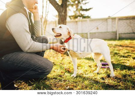 Male cynologist with trained working dog