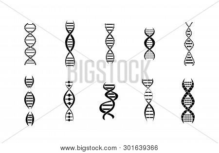 Genetic Structure Of Dna Molecule Vector Icons Set Isolated On White Background.