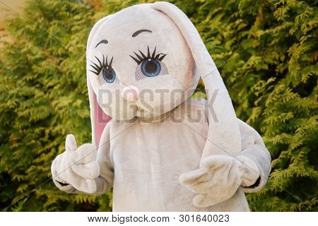 Growth Doll Of A Giant Cartoon Gray Hare In The Park On The Green Grass