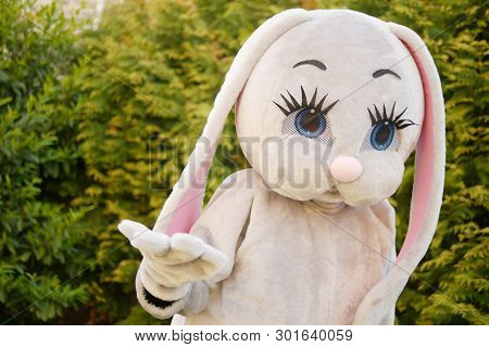 Growth Doll Of A Giant Cartoon Gray Hare In The Park On The Green Grass