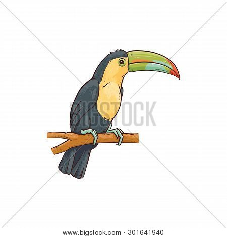 Exotic Hawaiian Tropical Bird Tukan Advertising Design Vector Isolated On White.