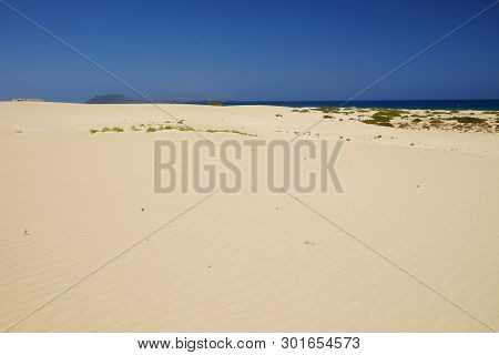 Sand Dunes And Beach In National Park Corralejo, Fuerteventura, Canary Islands, Spain.
