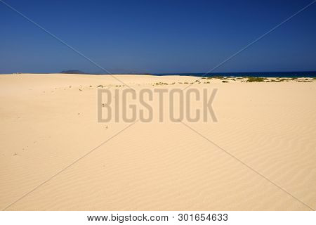 Sand Dunes And Beach In National Park Corralejo, Fuerteventura, Canary Islands, Spain.