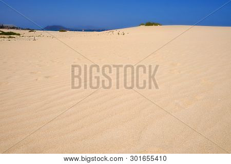 Sand Dunes And Beach In National Park Corralejo, Fuerteventura, Canary Islands, Spain.