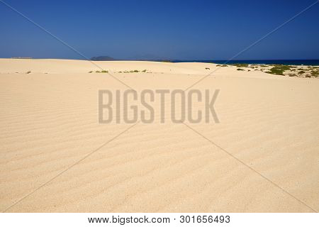 Sand Dunes And Beach In National Park Corralejo, Fuerteventura, Canary Islands, Spain.