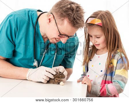 Little pretty girl took her degu to the vet to check his condition, isolated on white background