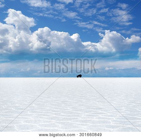 Off-road vehicle far away riding through completely dry salt lake in Bolivia