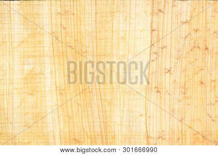 Real Egyptian Papyrus Paper Background And Texture 21, Close Up Macro.