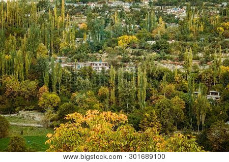 Local Villager Settlements In Karimabad Hunza Valley Surrounded By Lush Green Trees In The Forest. G