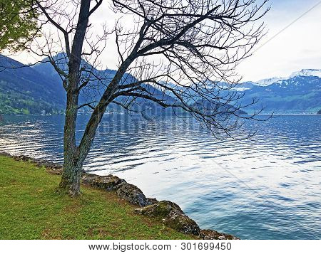 A View Of The Lake Lucerne Or Vierwaldstaetersee And Swiss Alps From The Vitznau Settlement - Canton