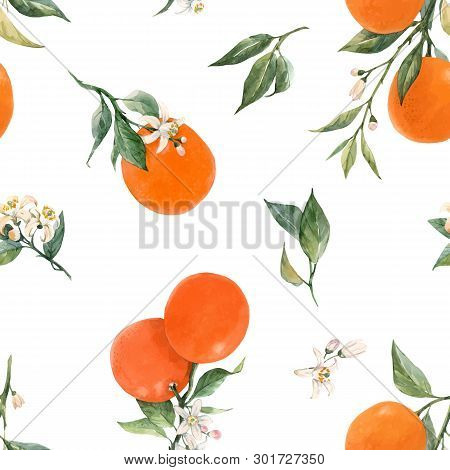 Beautiful Vector Seamless Pattern With Watercolor Citrus Fruits Orange Lemon