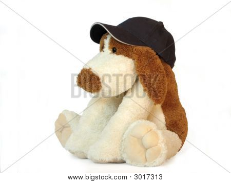 Cachorro de brinquedo no boné de beisebol