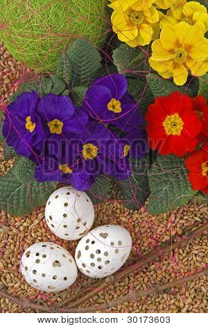 Pasqua